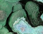 Malachite & Chrysocolla Geode - Congo #62065-1